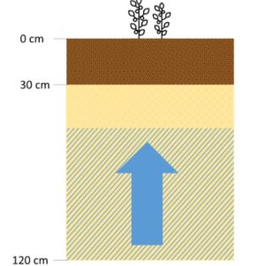 Foto soil humidity moist